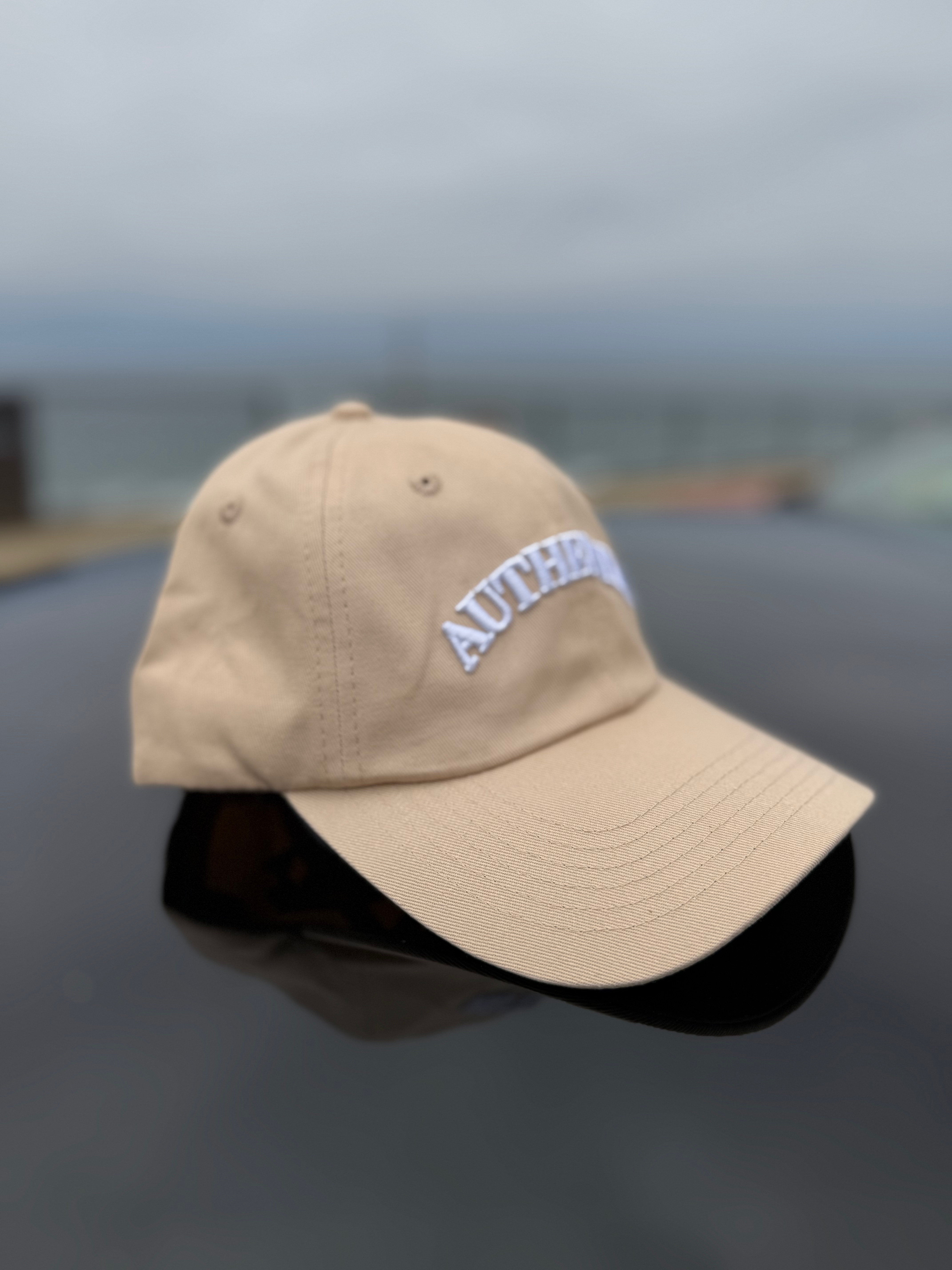 Day One Dad Hat- Sand image 2