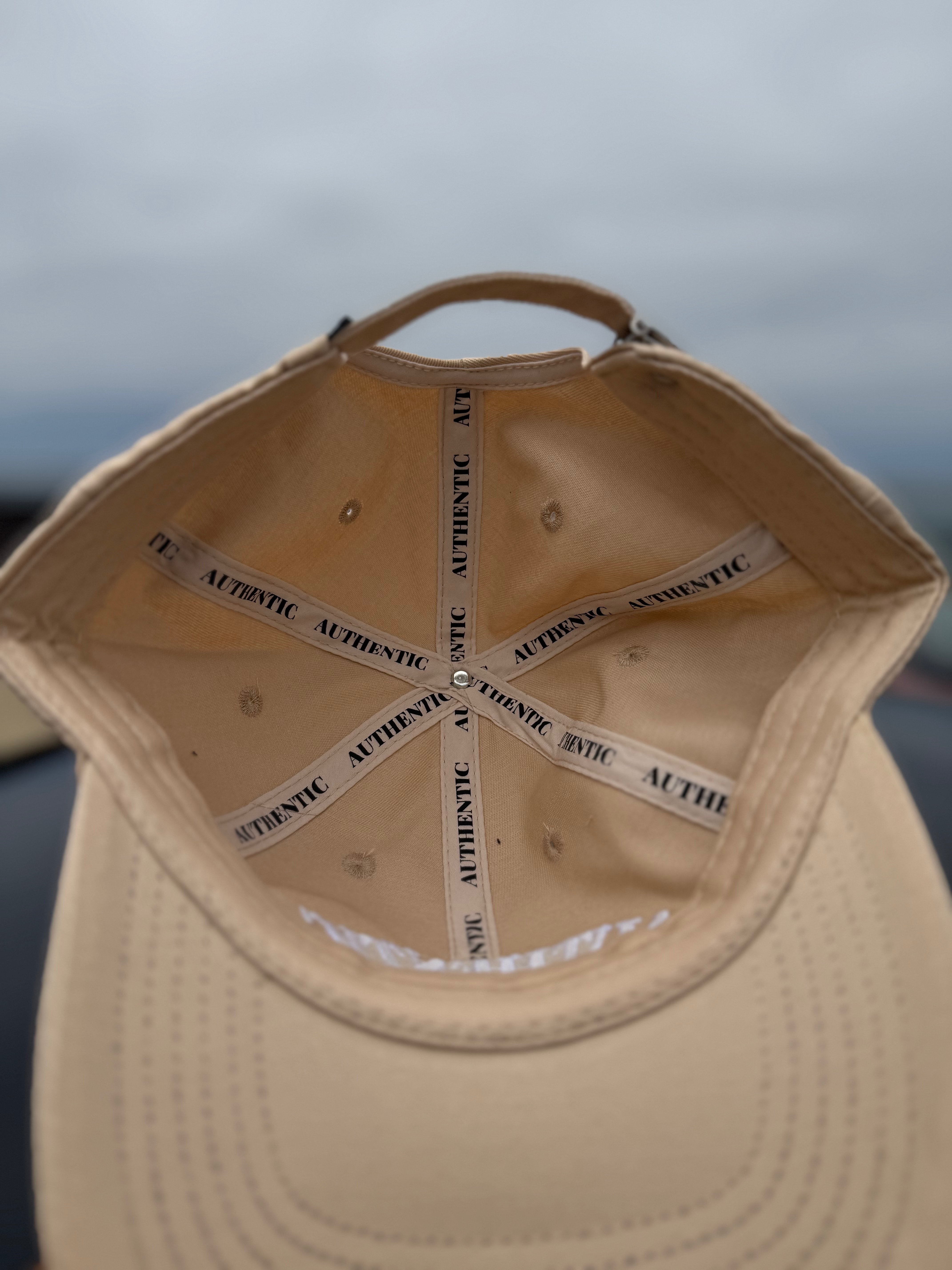 Day One Dad Hat- Sand image 4